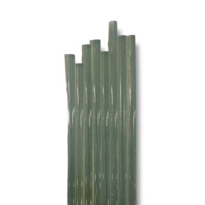 SILICONA FINA SUELTA 30 CM CHI TD103-01 CADA UNA y Claudio