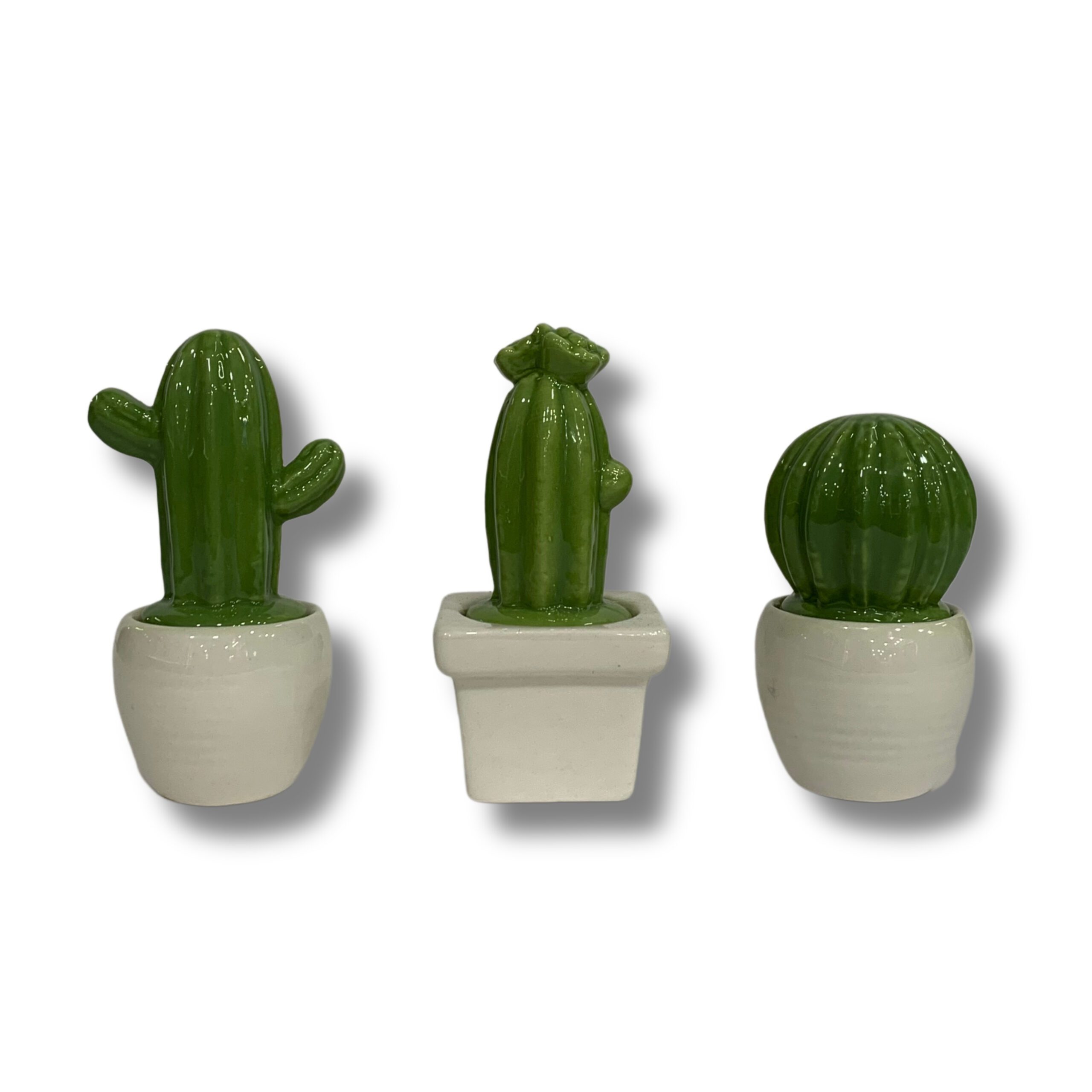 MACETA CON CACTUS EN CERAMICA TM0815-816-817
