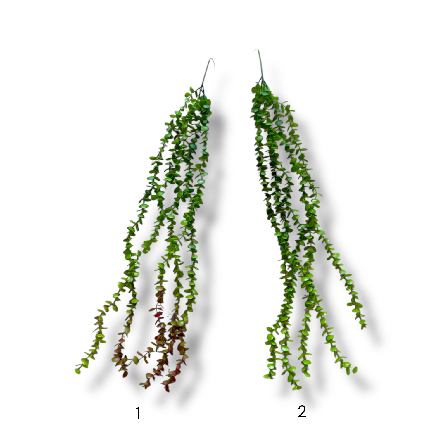 FLOR PLANTA COLGANTE 5 VARAS HOJAS CHICAS DIFERENTES COLORES DE VERDE MM154-02