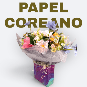 Papel coreano dif. colores x 20 u